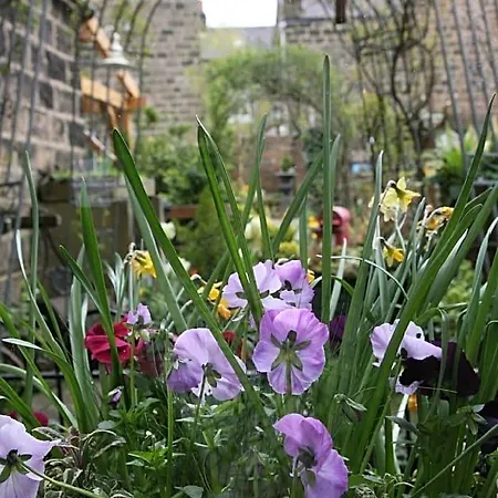 Alexandra Court Bed & Breakfast 3*