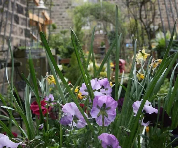 Alexandra Court Harrogate