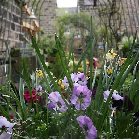 Alexandra Court Bed & Breakfast Harrogate